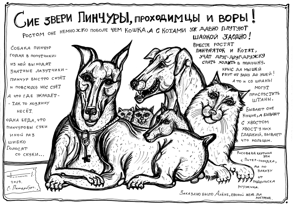 Image 20190719 0002